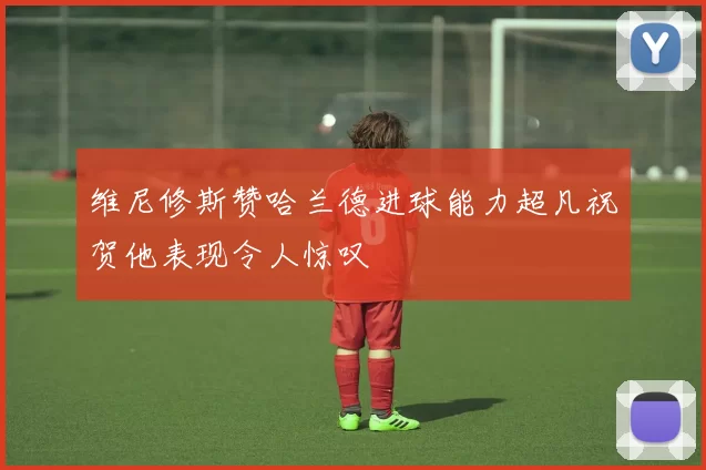 维尼修斯赞哈兰德进球能力超凡祝贺他表现令人惊叹